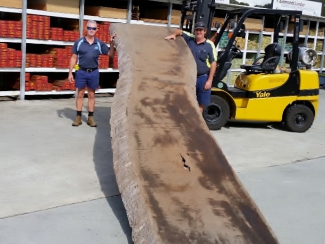 PJ Large Slab at Tradeware Building Supplies, building products and services at Chandler, Brisbane