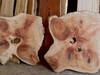 Amazing Camphor Laurel Timber Slabs at Tradeware Building Supplies Amazing Camphor Laurel Timber Slabs at Tradeware Building Supplies