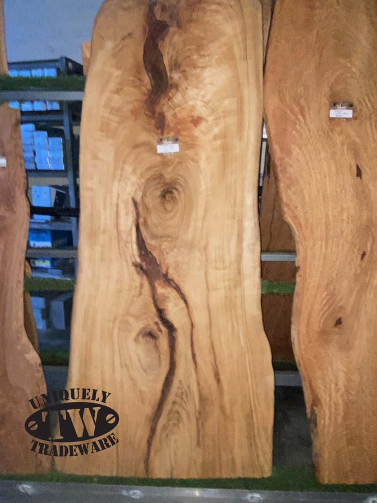 Camphor Laurel Timber Slab 2 metres long available Camphor Laurel Timber Slab 2 metres long available from Tradeware Building Supplies in Chandler, Brisbane.