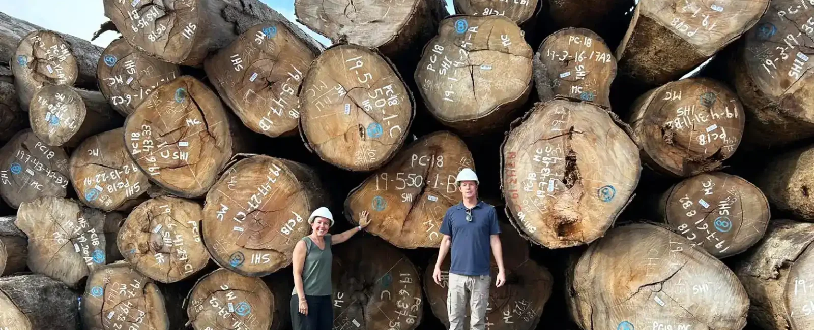 Responsibly sourced Cumaru timber logs stacked in a timber yard before being milled into premium hardwood products.