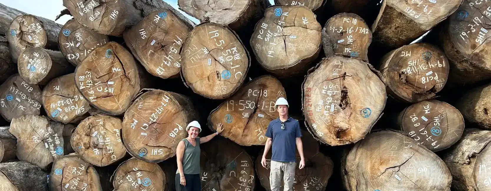 Responsibly sourced Cumaru timber logs stacked in a timber yard before being milled into premium hardwood products.