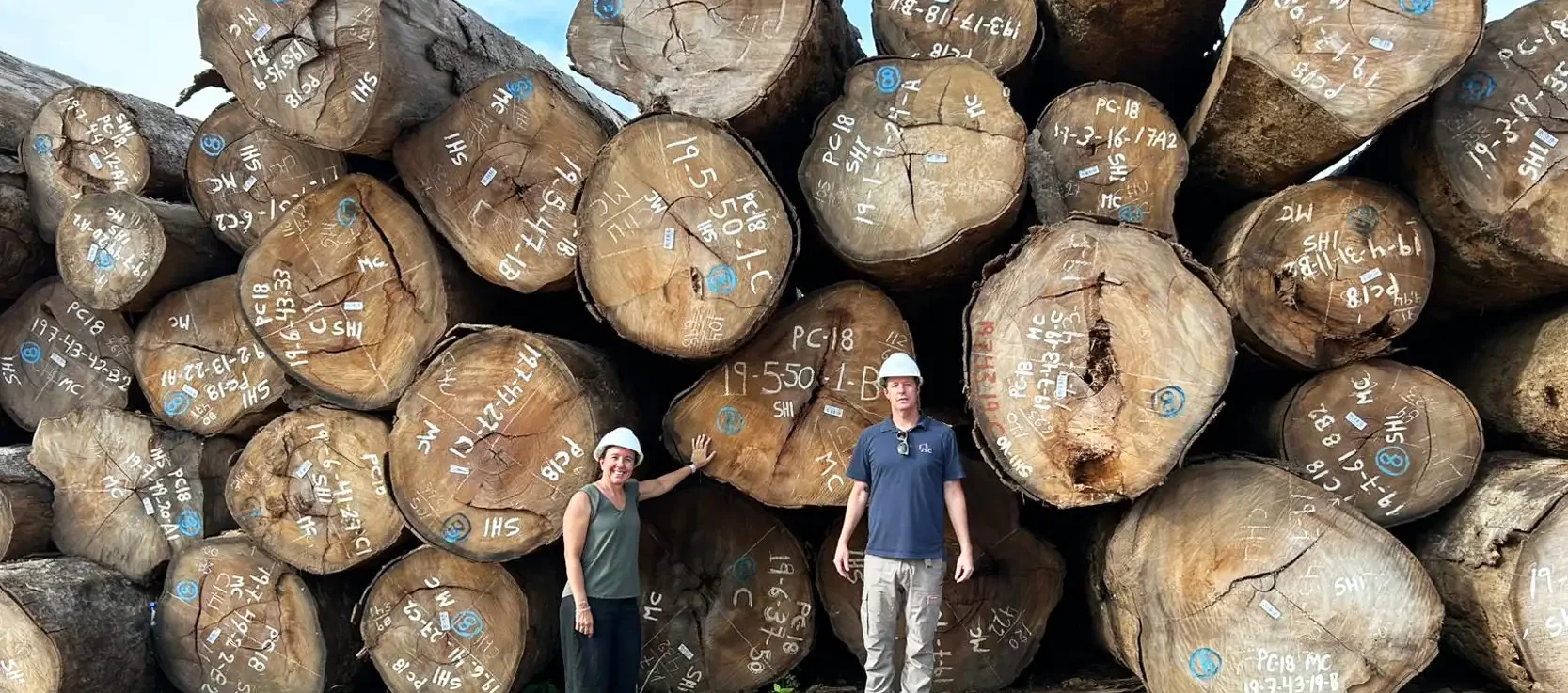 Premium Cumaru Timber Logs Responsibly sourced Cumaru timber logs stacked in a timber yard before being milled into premium hardwood products.